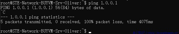 anycastbug
