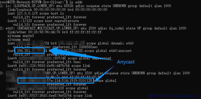 anycastbug