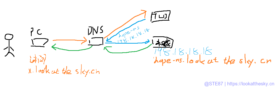 DNS